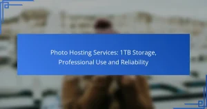 Photo Hosting Services: 1TB Storage, Professional Use and Reliability