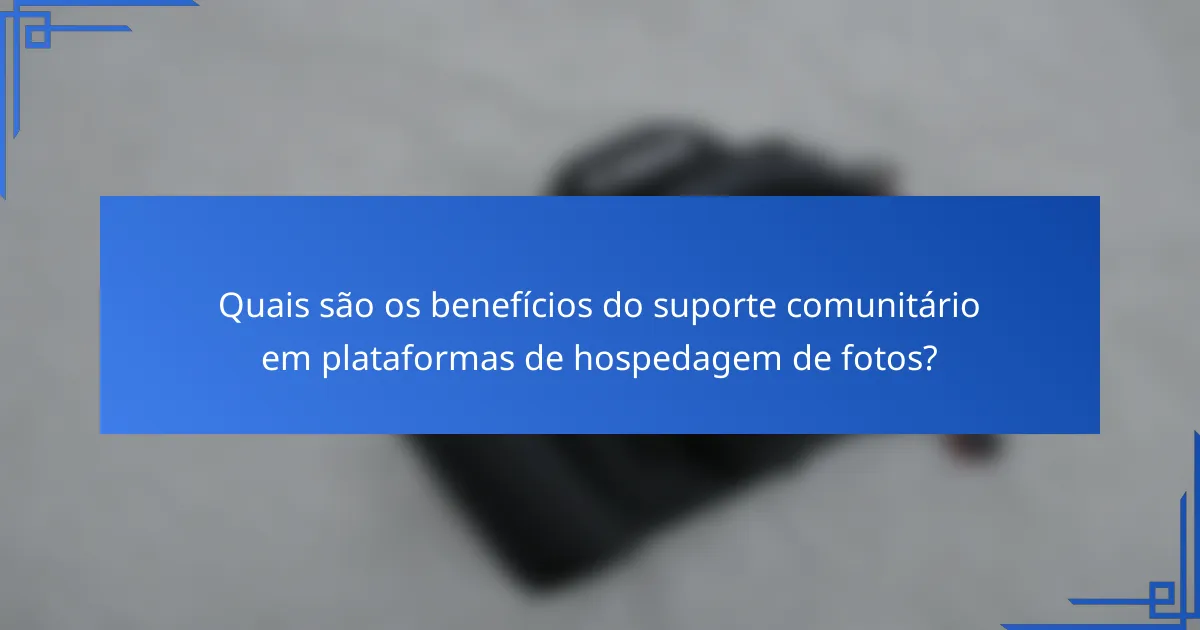 Quais são os benefícios do suporte comunitário em plataformas de hospedagem de fotos?